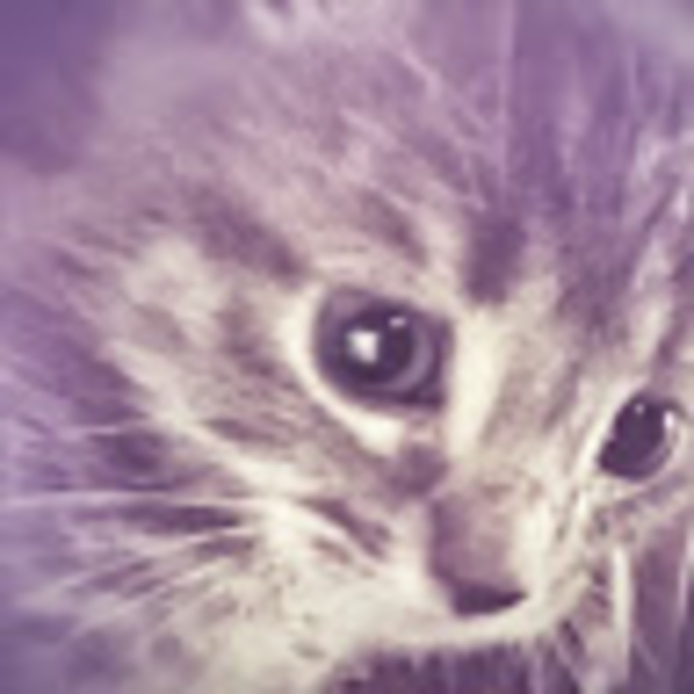 Meet your Posher, Portia